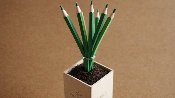 Crayon à planter : un cadeau éco-responsable et personnalisable