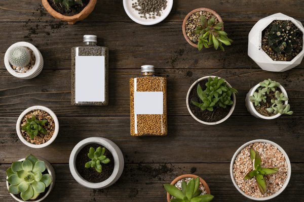 L'art du packaging parfum : luxe, émotion et éco-responsabilité